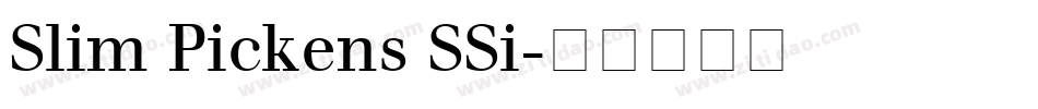 Slim Pickens SSi字体转换